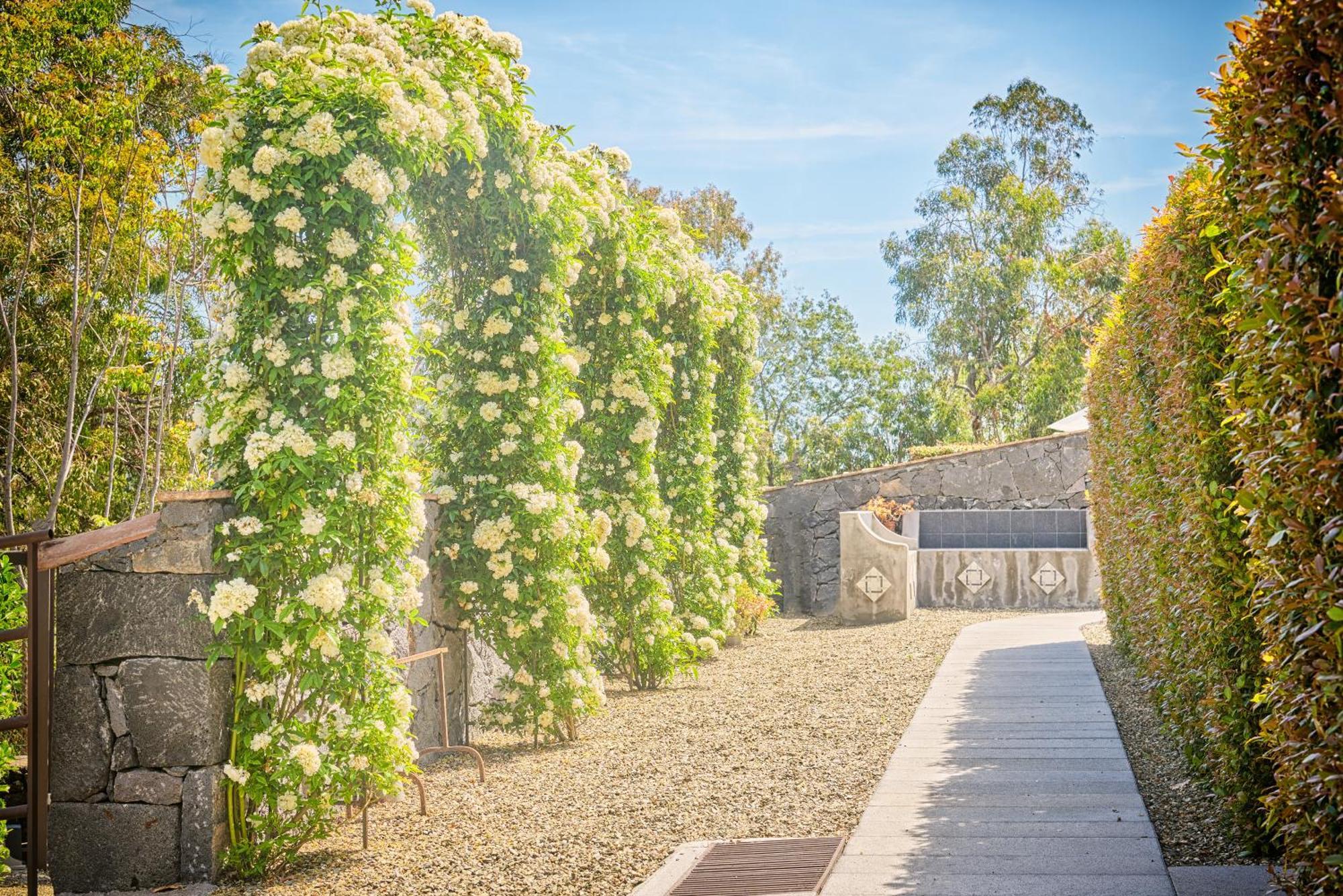 圣韦内里纳Il Casale Di Monacella公寓式酒店 外观 照片